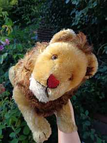 Original old STEIFF lion-daddy dated about 1949.