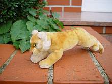 A rare original vintage STEIFF Young Lion.