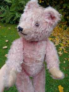 Rare vintage German PINK teddy bear, dated 1920s.