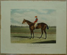 Aquatinta,Pferderennen, R.G.Reeves, Engraving Horse racing,